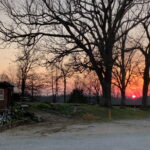 Ozark sunset through the trees at Ozark View RV Park