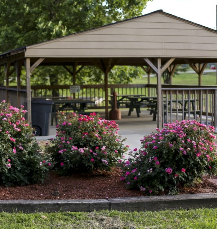 RV sites at Ozark View RV Park Omaha Arkansas